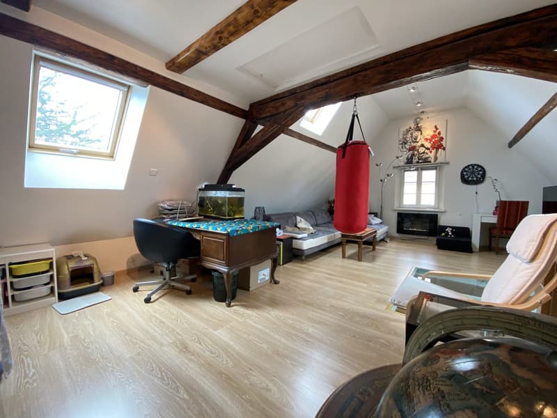 Café-Restaurant de Caractère à Vendre à Hesingue – 430 m² de Charme Alsacien (17)