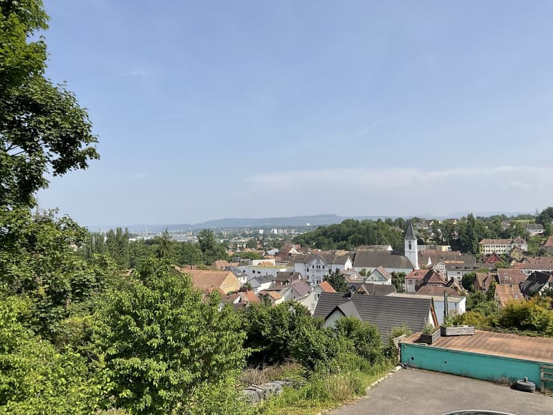 Zu verkaufen: Villa mit Panoramablick auf den Höhen von Hégenheim (49)