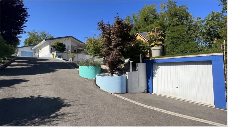 Zu verkaufen: Villa mit Panoramablick auf den Höhen von Hégenheim (16)