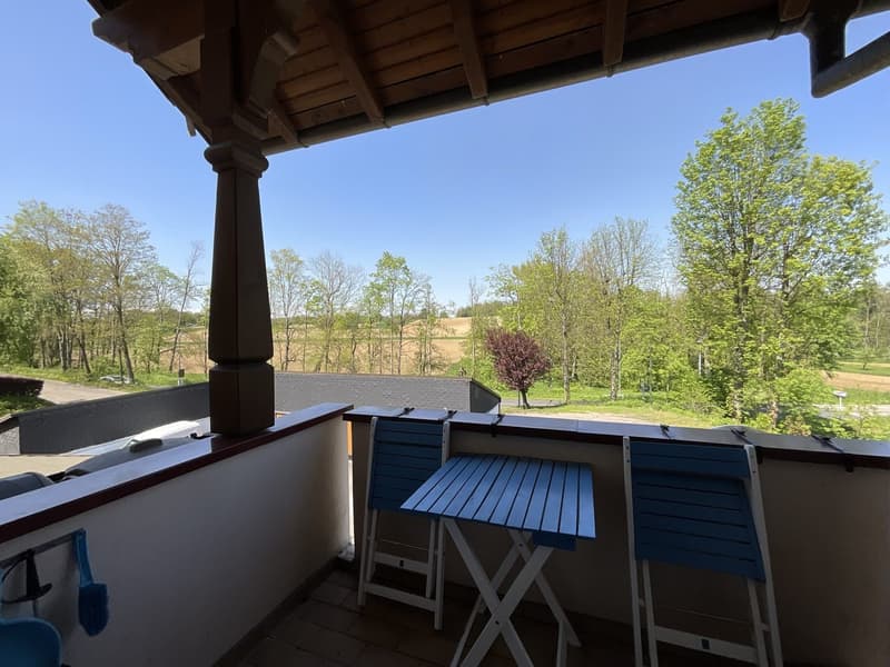 500m von Blotzheim in Michelbach-le Bas (7)