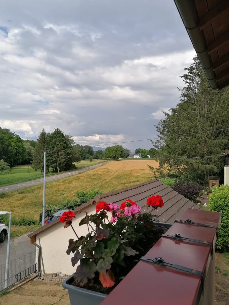 500m von Blotzheim in Michelbach-le Bas (4)