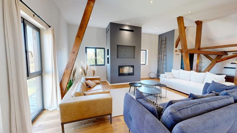 Exceptional property – 239 m² of charm and light, just 15 minutes from Basel (6)