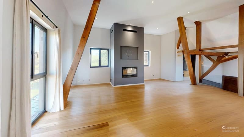 Exceptional property – 239 m² of charm and light, just 15 minutes from Basel (15)