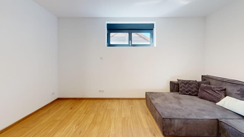 Exceptional property – 239 m² of charm and light, just 15 minutes from Basel (7)