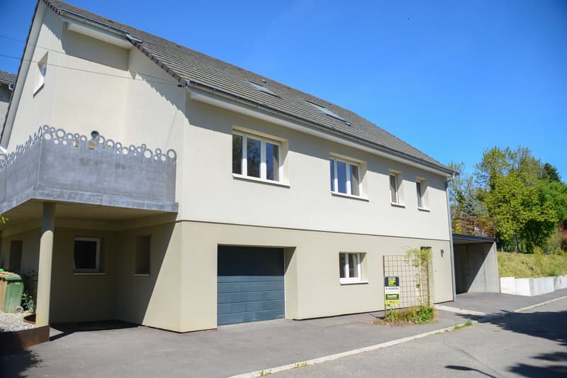 Einfamilienhaus in Buschwiller. 179 m², 6 Zimmer, 4 Schlafzimmer. (3)