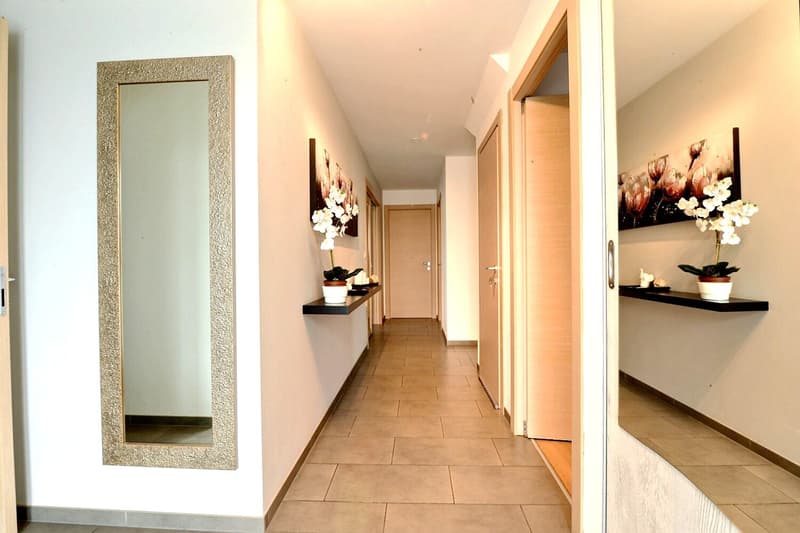 Magnifique maison individuelle moderne à Bartenheim (23)