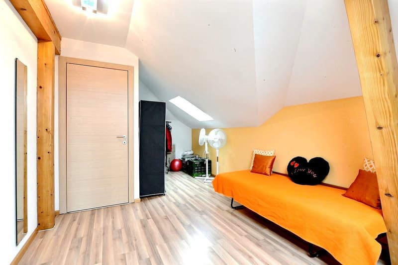 Magnifique maison individuelle moderne à Bartenheim (19)