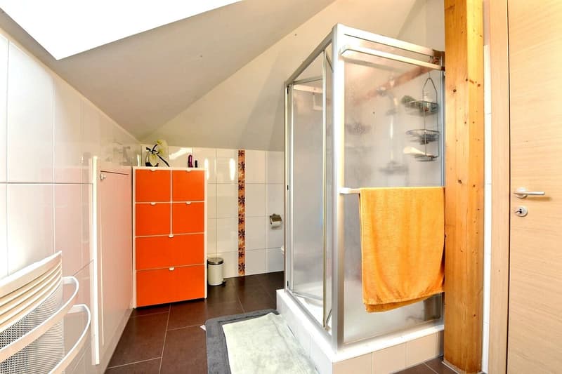 Magnifique maison individuelle moderne à Bartenheim (22)