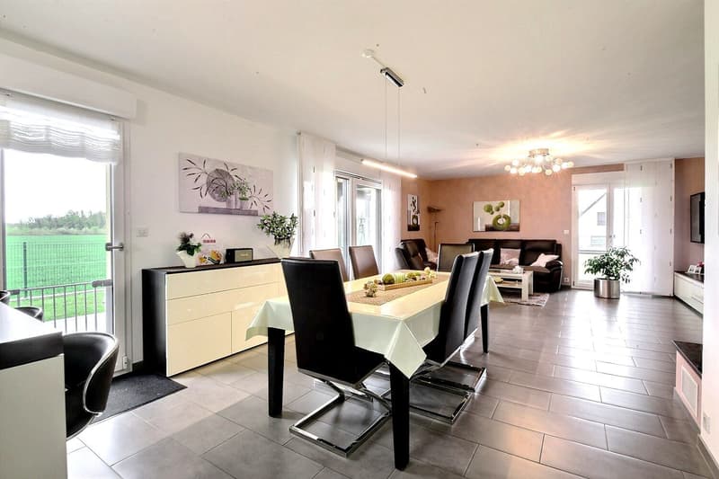 Magnifique maison individuelle moderne à Bartenheim (18)