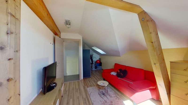 Magnifique maison avec piscine (33)