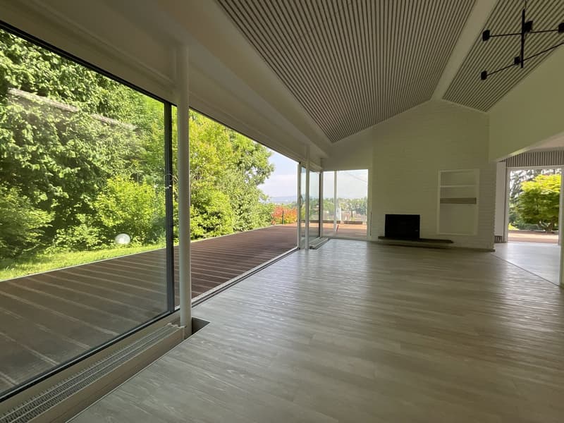 Zu verkaufen: Villa mit Panoramablick auf den Höhen von Hégenheim (3)