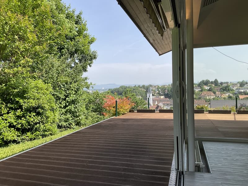 Zu verkaufen: Villa mit Panoramablick auf den Höhen von Hégenheim (53)