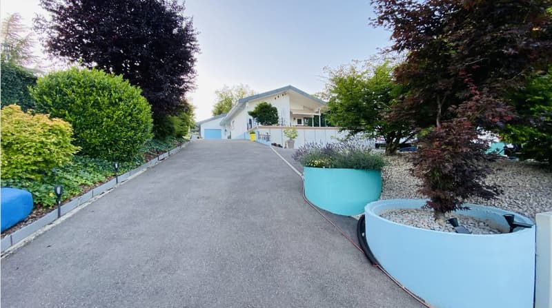 Zu verkaufen: Villa mit Panoramablick auf den Höhen von Hégenheim (22)