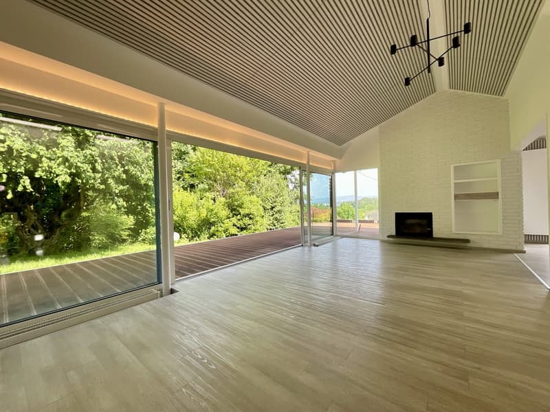 Zu verkaufen: Villa mit Panoramablick auf den Höhen von Hégenheim (2)
