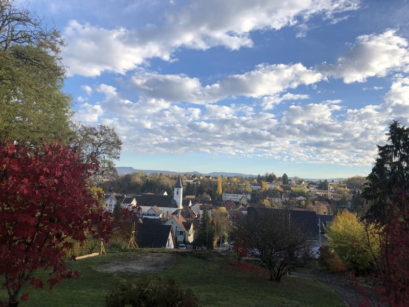 Zu verkaufen: Villa mit Panoramablick auf den Höhen von Hégenheim (15)