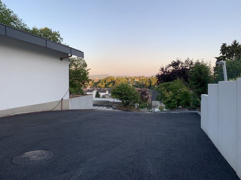 Zu verkaufen: Villa mit Panoramablick auf den Höhen von Hégenheim (11)