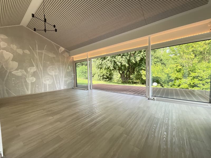Zu verkaufen: Villa mit Panoramablick auf den Höhen von Hégenheim (55)