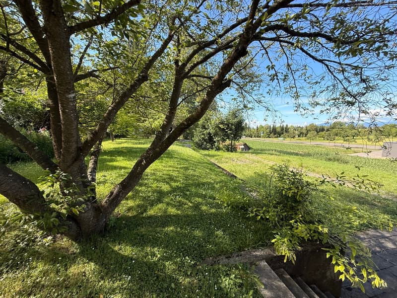Terrain constructible à Hésingue (68220) (1)