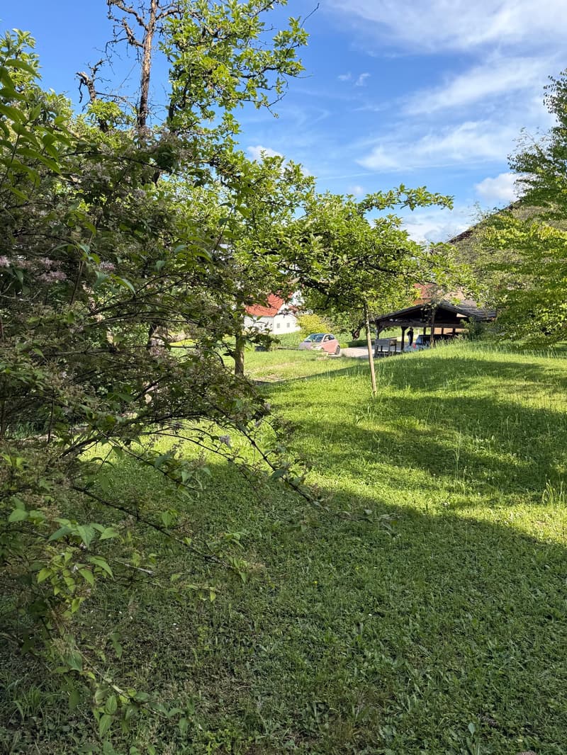 Terrain constructible à Hésingue (68220) (2)