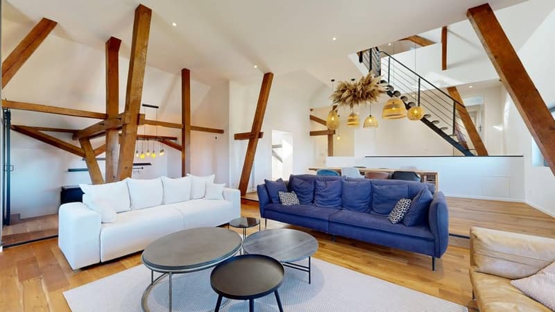 Außergewöhnliche Immobilie – 239 m², 15 Minuten von Basel entfernt (10)