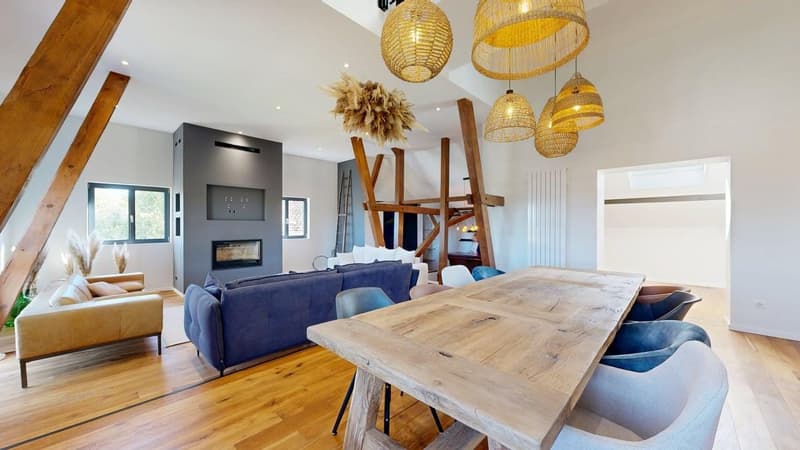 Außergewöhnliche Immobilie – 239 m², 15 Minuten von Basel entfernt (19)