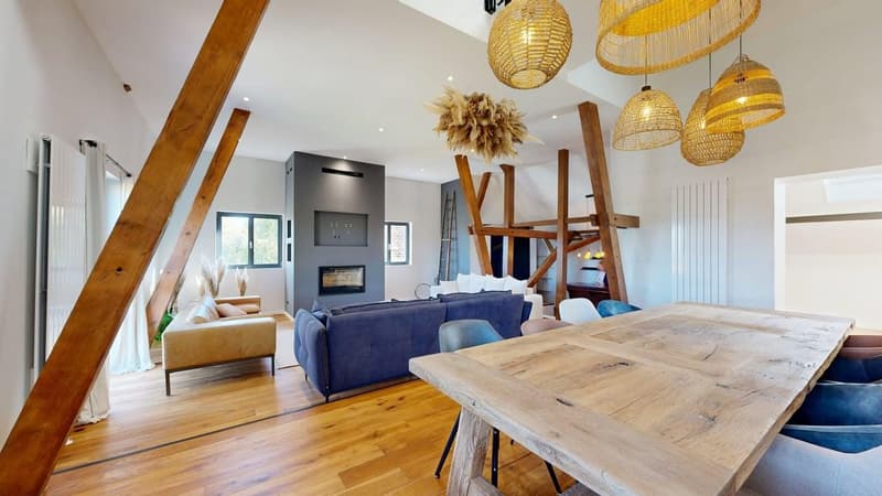 Außergewöhnliche Immobilie – 239 m², 15 Minuten von Basel entfernt (9)