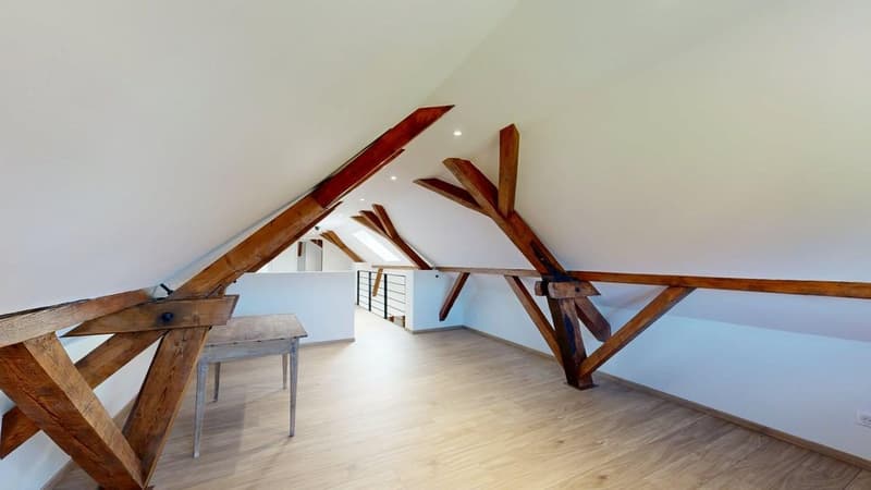 Außergewöhnliche Immobilie – 239 m², 15 Minuten von Basel entfernt (13)