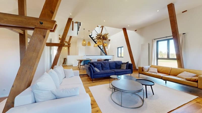 Außergewöhnliche Immobilie – 239 m², 15 Minuten von Basel entfernt (11)