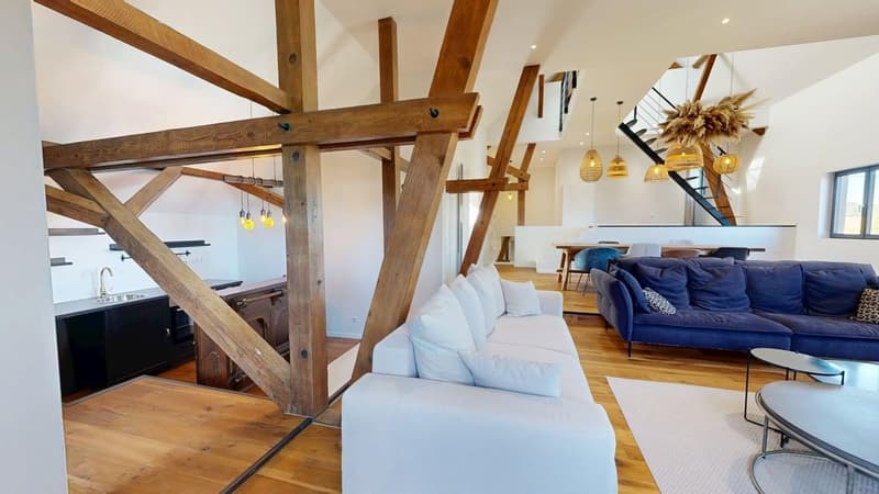 Außergewöhnliche Immobilie – 239 m², 15 Minuten von Basel entfernt (8)