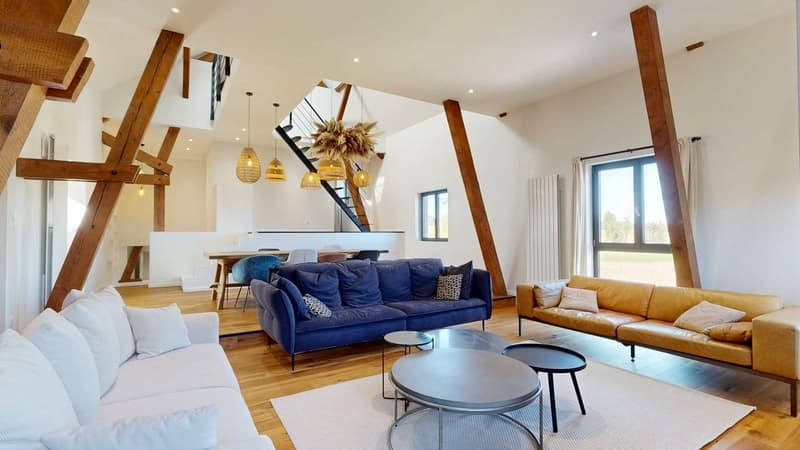 Außergewöhnliche Immobilie – 239 m², 15 Minuten von Basel entfernt (18)