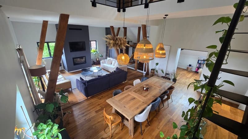 Außergewöhnliche Immobilie – 239 m², 15 Minuten von Basel entfernt (47)