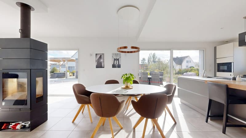 Modern, networked single-family house (6)