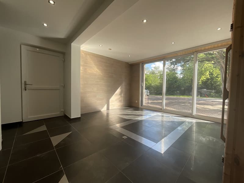 Außergewöhnliche Villa mit Gästehaus, Wellnessbereich und großem Park (19)