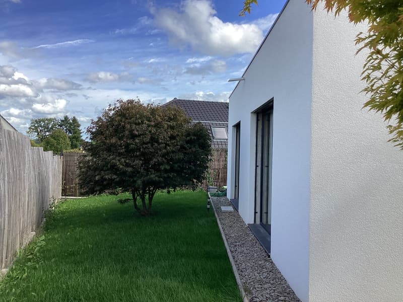 Außergewöhnliches Anwesen in Hagenthal-le-Haut (3)