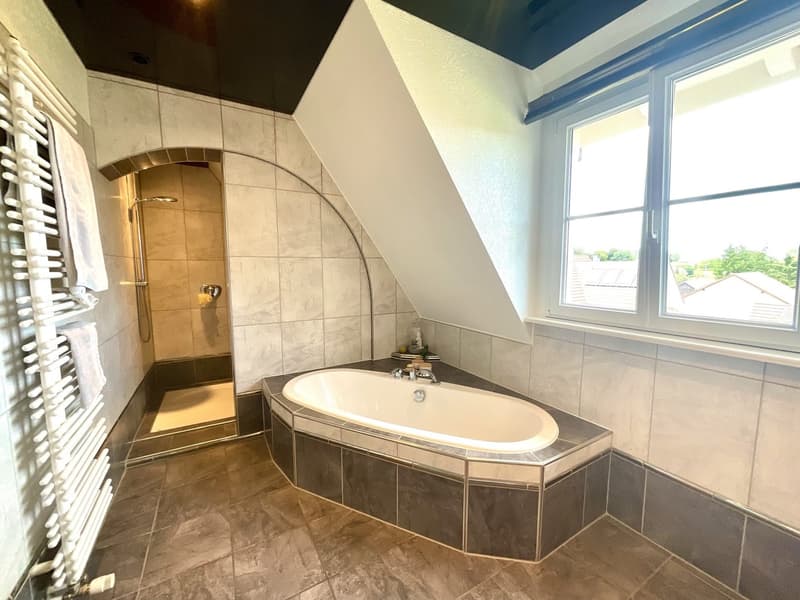7-room single-family house with pool in Feldbach (8)