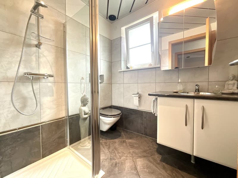 7-room single-family house with pool in Feldbach (14)