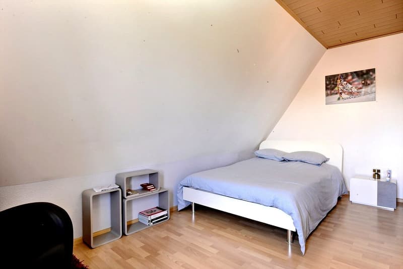 7-room single-family house with pool in Feldbach (11)