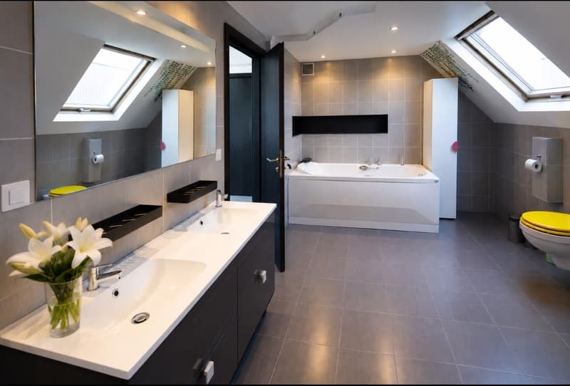 202 M² D'ESPACE HABITABLE SUR 20,76 AR DE TERRAIN – VUE 360° – À SEULEMENT 15 MINUTES DE BÂLE (5)