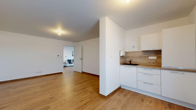 Neubauwohnung im Erdgeschoss mit Garten / gewerbliche Nutzung – Wohnen – gemischte Nutzung (6)