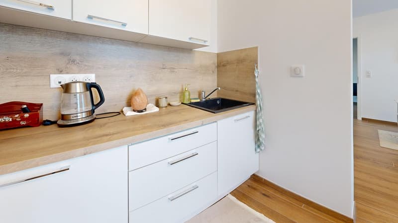 Neubauwohnung im Erdgeschoss mit Garten / gewerbliche Nutzung – Wohnen – gemischte Nutzung (8)