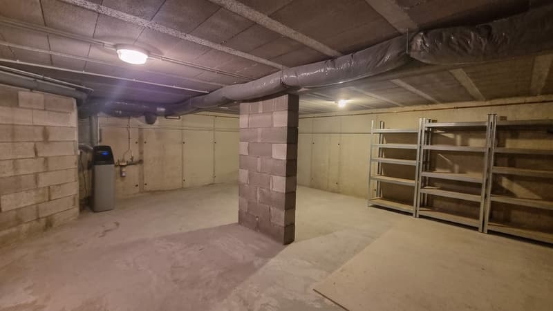 Hégenheim auf den Anhöhen – Einfamilienhaus vor den Toren der Schweiz (23)