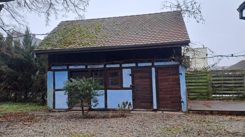 Magnifique maison familiale de 7 pièces à Bartenheim (3)