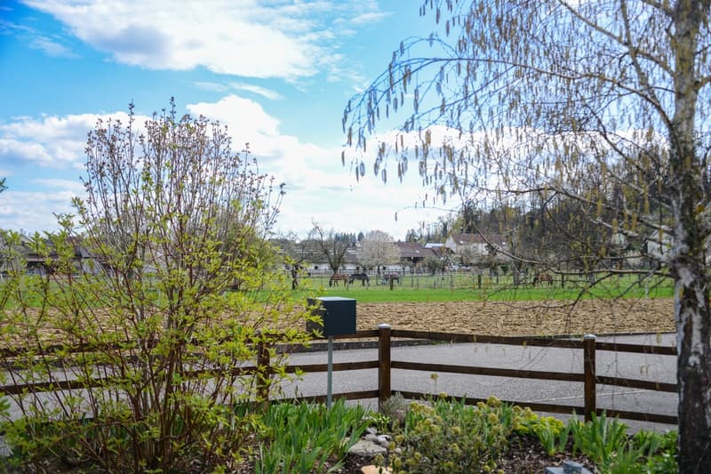 EXKLUSIVES EINFAMILIENHAUS AM WALDRAND – RUHE, NATUR & NÄHE ZU BASEL (15)