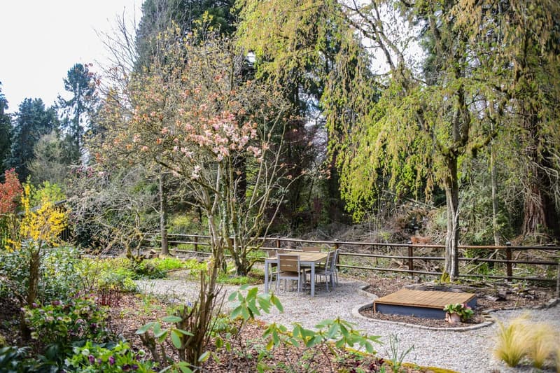 EXKLUSIVES EINFAMILIENHAUS AM WALDRAND – RUHE, NATUR & NÄHE ZU BASEL (12)