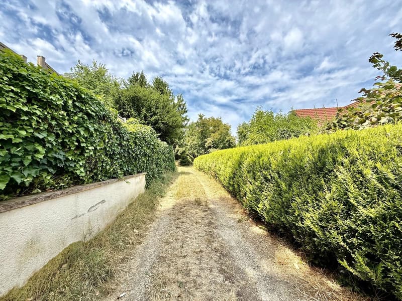 Buschwiller – Bright duplex apartment with terrace, no overlook, green setting (2)