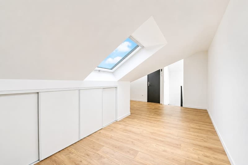 Buschwiller – Bright duplex apartment with terrace, no overlook, green setting (20)