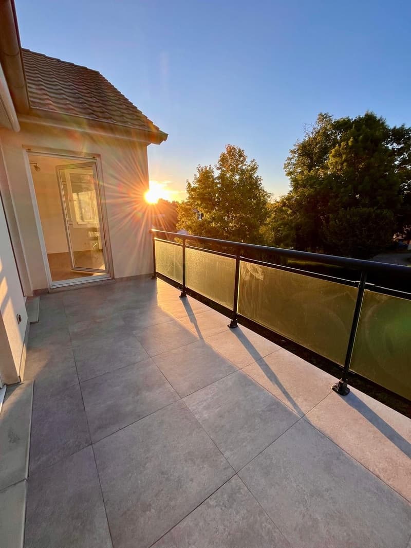 Buschwiller – Bright duplex apartment with terrace, no overlook, green setting (2)