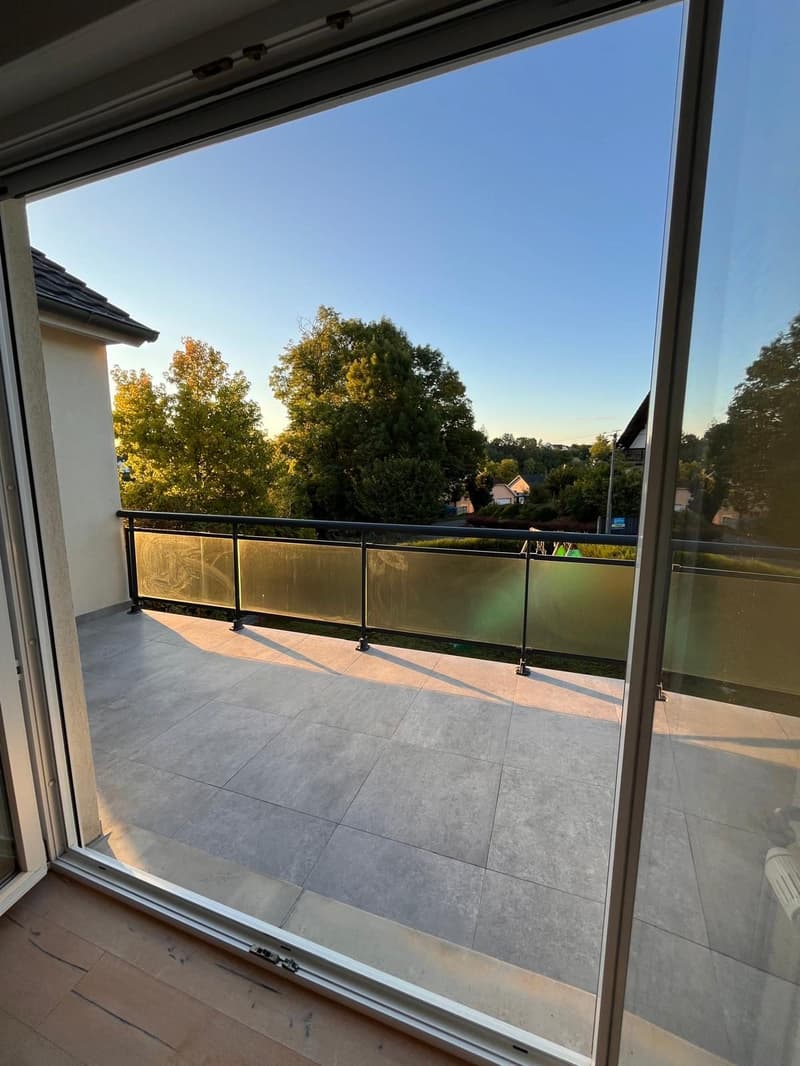 Buschwiller – Bright duplex apartment with terrace, no overlook, green setting (5)