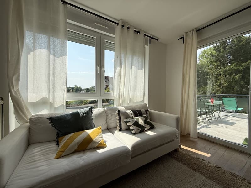 Buschwiller – Bright duplex apartment with terrace, no overlook, green setting (5)