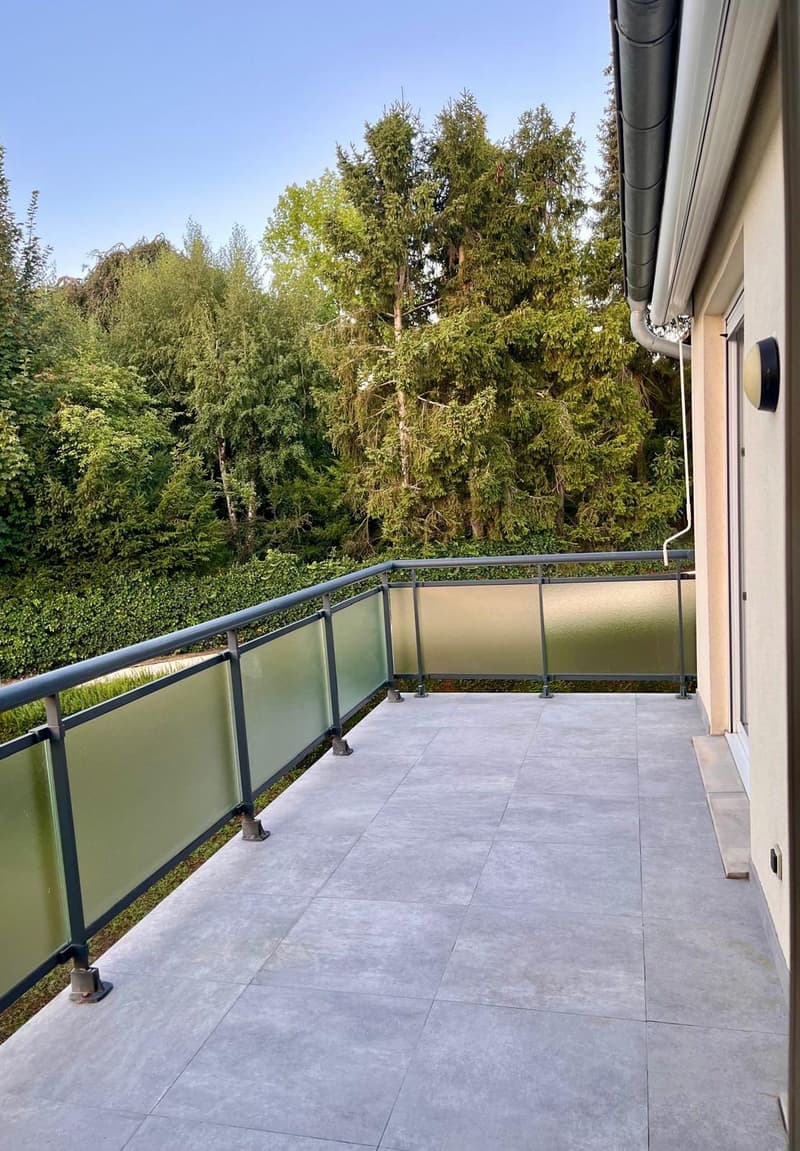 Buschwiller – Bright duplex apartment with terrace, no overlook, green setting (3)